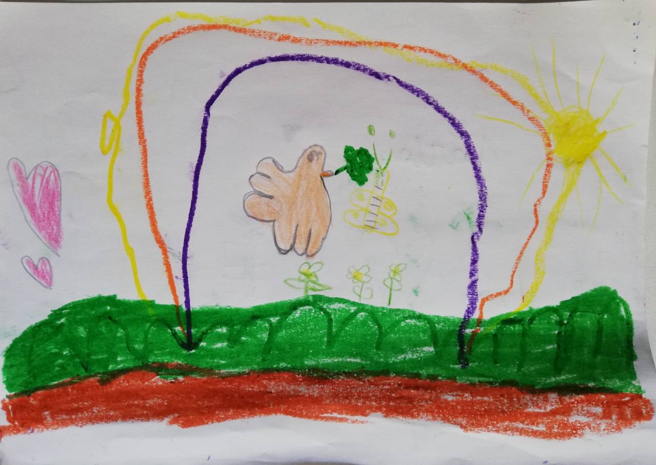 La paloma de la Paz, dibujo de María Sánchez (todos los derechos otorgados a la Fundación Orden de la Paz para el concurso Picasso Cuadros Sinfónicos en Málaga)